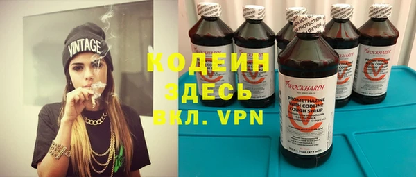 стафф Михайловск