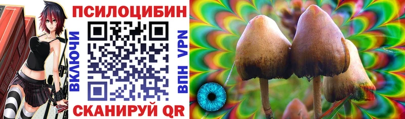 купить цена Полтавская Псилоцибиновые грибы Psilocybe